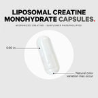 Liposomal Creatine Monohydrate Capsules, Micronized Creatine 2500Mg Sports Nutrition, 360 Ct